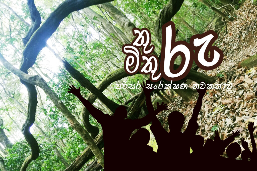 තුරු මිතුරු  –  6