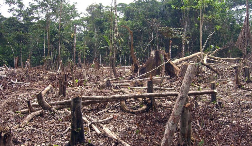 ‘පෘථිවි අතික්‍රමණ දිනය’ජූලි 29 දක්වා වෙනස් වී ඇත