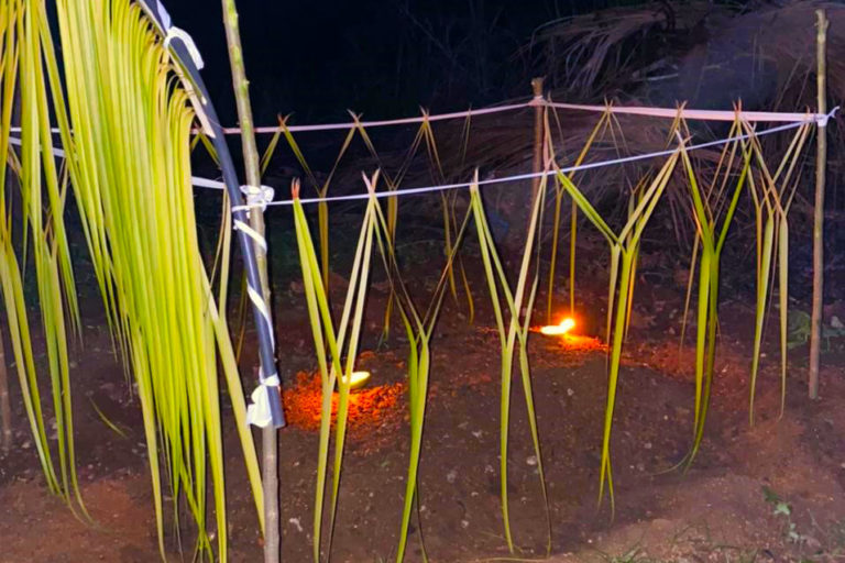 ශ්‍රී ලංකාවේ සත්ව හිංසන නීතිවල දැඩි අවශ්‍යතාව සුනඛයකුට වෙඩි තැබීමත් සමග දැඩිව ඉස්මතු කරයි￼